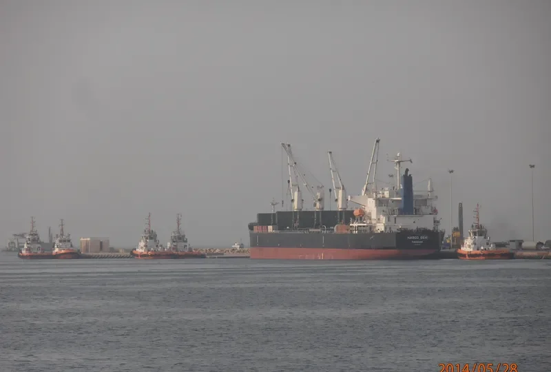 NASCO GEM Bulk Carrier IMO 9404986 photo 2