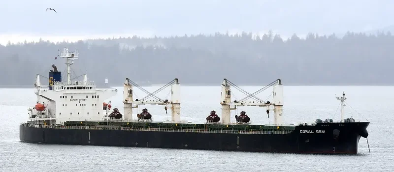 CORAL GEM Bulk Carrier IMO 9404998 photo 3