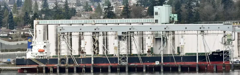CORAL GEM Bulk Carrier IMO 9404998 photo 4