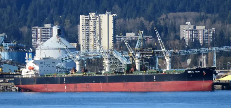 CORAL GEM Bulk Carrier IMO 9404998 photo 5