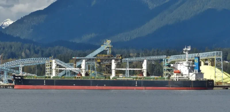 CORAL GEM Bulk Carrier IMO 9404998 photo 6