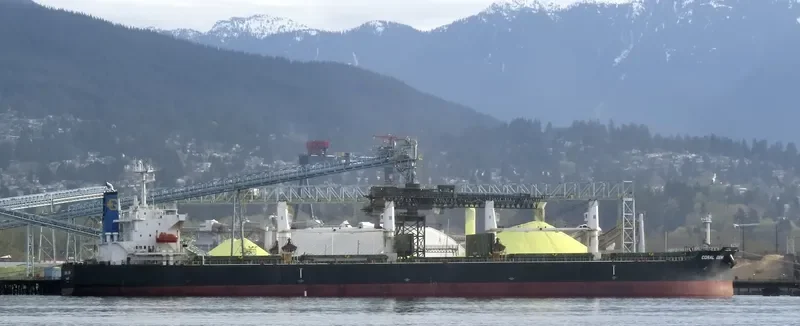 CORAL GEM Bulk Carrier IMO 9404998 photo 7