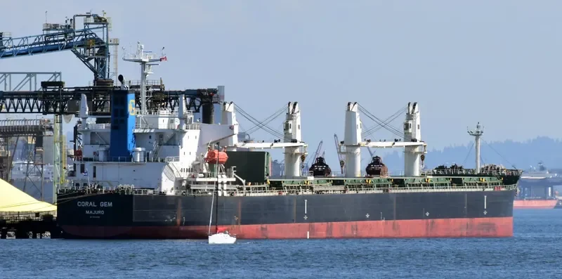 CORAL GEM Bulk Carrier IMO 9404998 photo 8