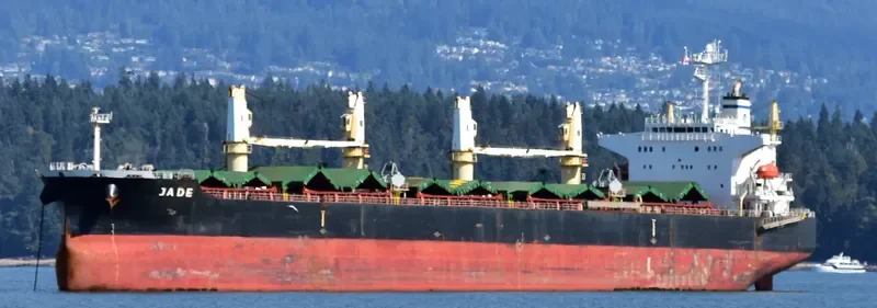 JADE Bulk Carrier IMO 9405019 photo 2