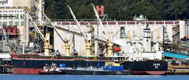 JADE Bulk Carrier IMO 9405019 photo 4