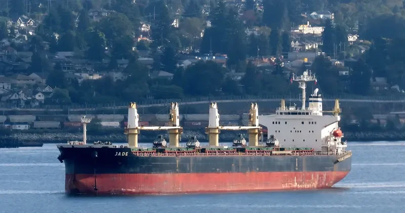 JADE Bulk Carrier IMO 9405019 photo 5
