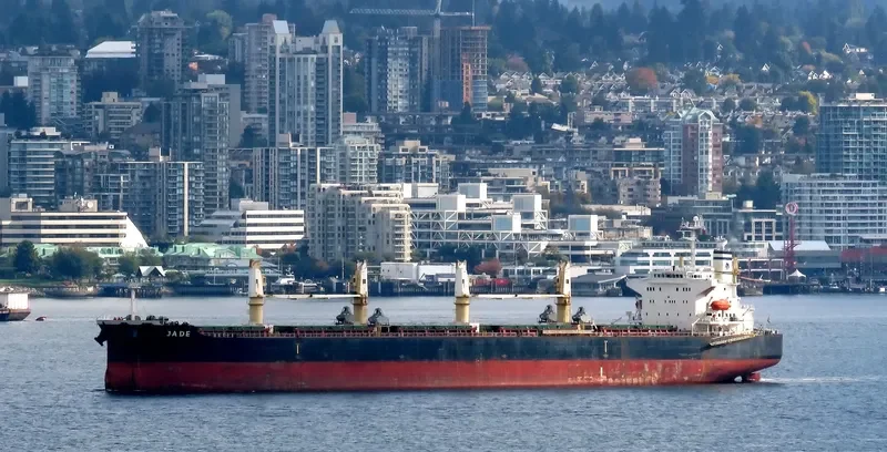 JADE Bulk Carrier IMO 9405019 photo 6