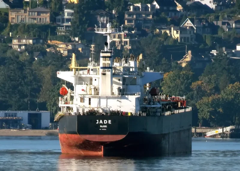 JADE Bulk Carrier IMO 9405019 photo 7