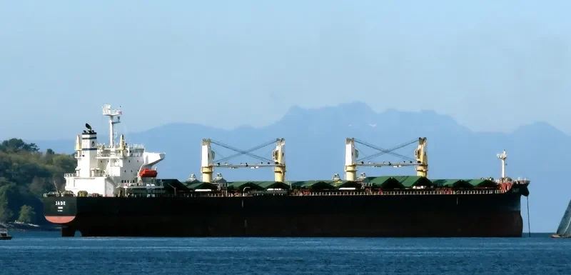 JADE Bulk Carrier IMO 9405019 photo 9