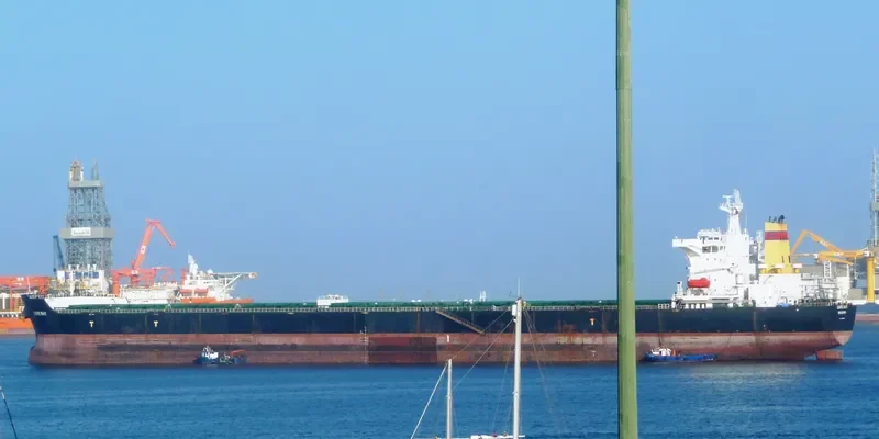 CAPE RAY Bulk Carrier IMO 9405071