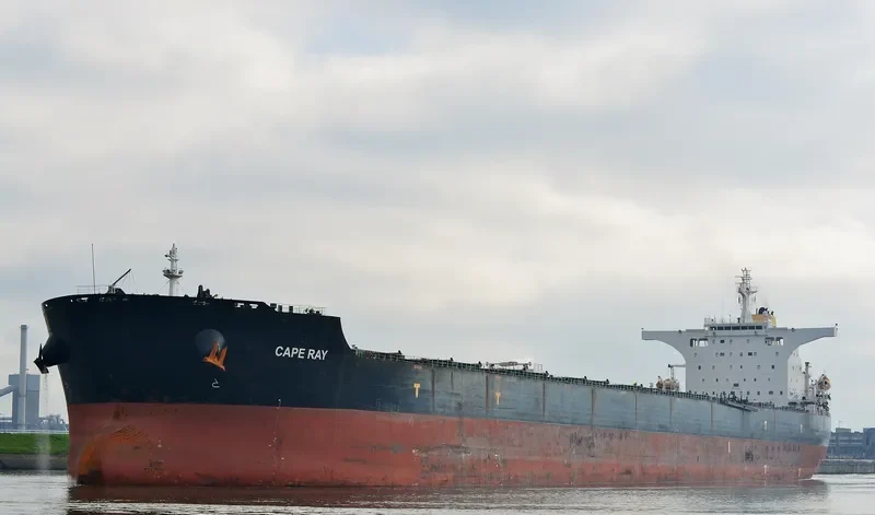 CAPE RAY Bulk Carrier IMO 9405071 photo 2