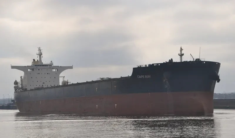 CAPE RAY Bulk Carrier IMO 9405071 photo 6
