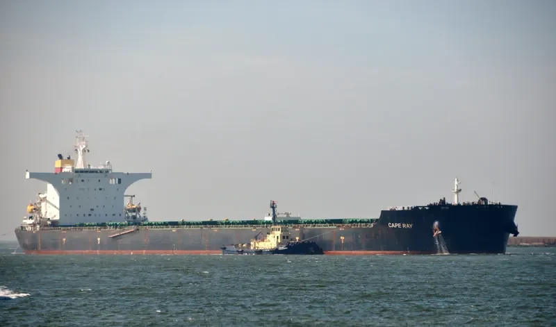 CAPE RAY Bulk Carrier IMO 9405071 photo 9