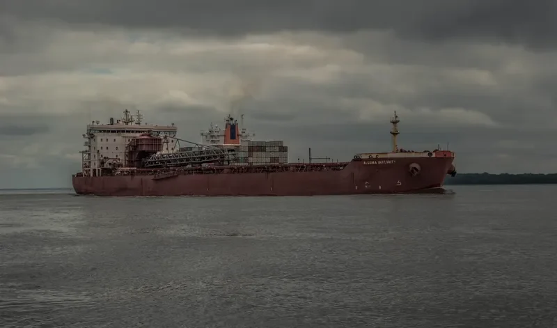 ALGOMA INTEGRITY Bulk Carrier IMO 9405162 photo 2