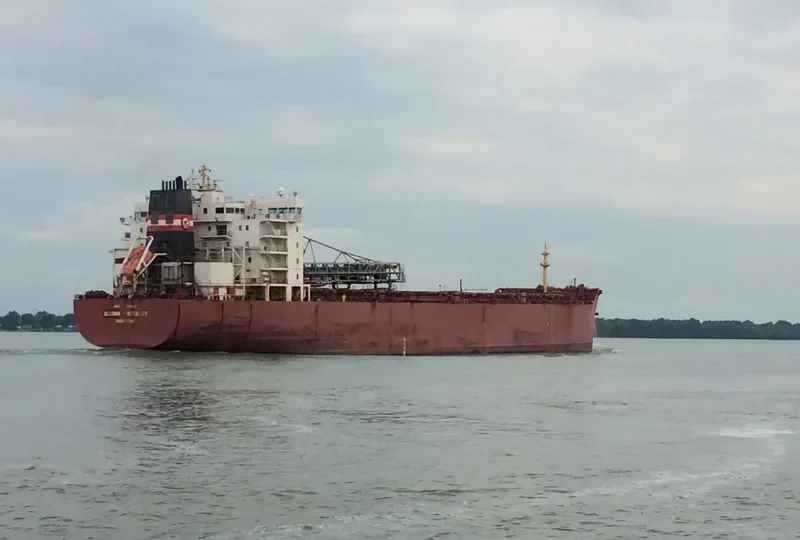 ALGOMA INTEGRITY Bulk Carrier IMO 9405162 photo 3