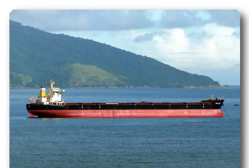 NEW YORK Bulk Carrier IMO 9405332 photo 8