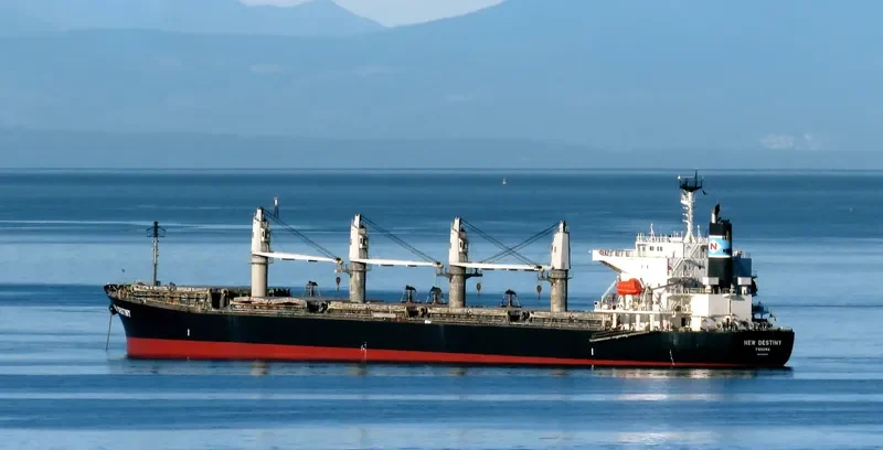 EVRIALI Bulk Carrier IMO 9405435