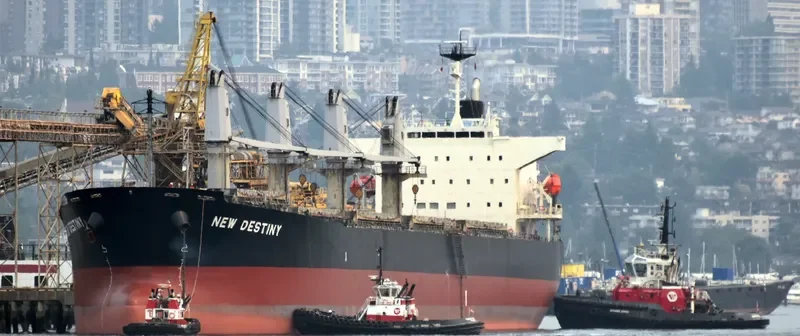 EVRIALI Bulk Carrier IMO 9405435 photo 3