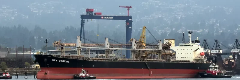 EVRIALI Bulk Carrier IMO 9405435 photo 4