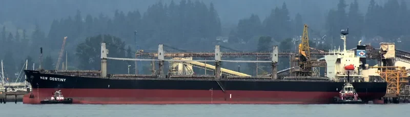 EVRIALI Bulk Carrier IMO 9405435 photo 5