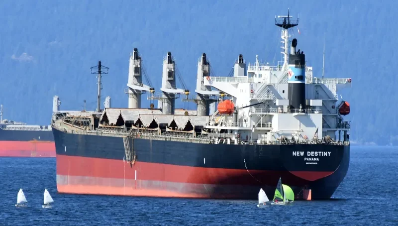 EVRIALI Bulk Carrier IMO 9405435 photo 6