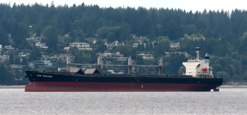 EVRIALI Bulk Carrier IMO 9405435 photo 7