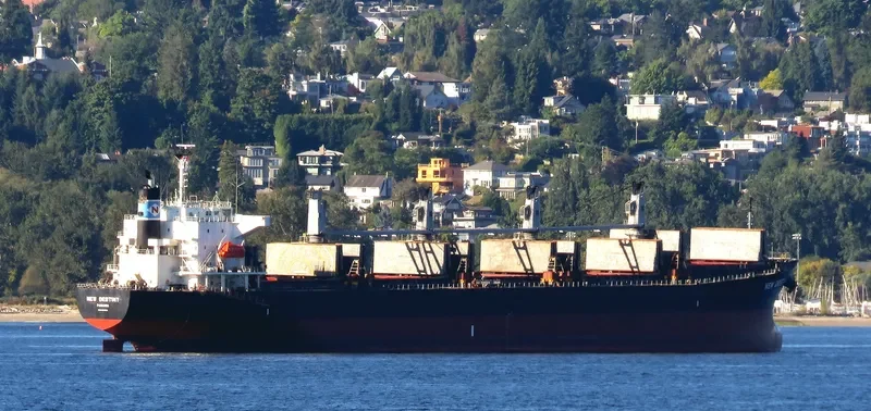 EVRIALI Bulk Carrier IMO 9405435 photo 9