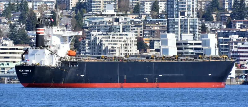 MILKY WAY II Bulk Carrier IMO 9405447 photo 4