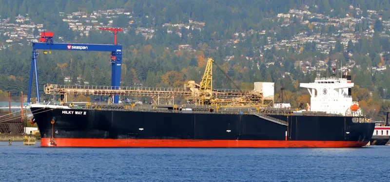 MILKY WAY II Bulk Carrier IMO 9405447 photo 9