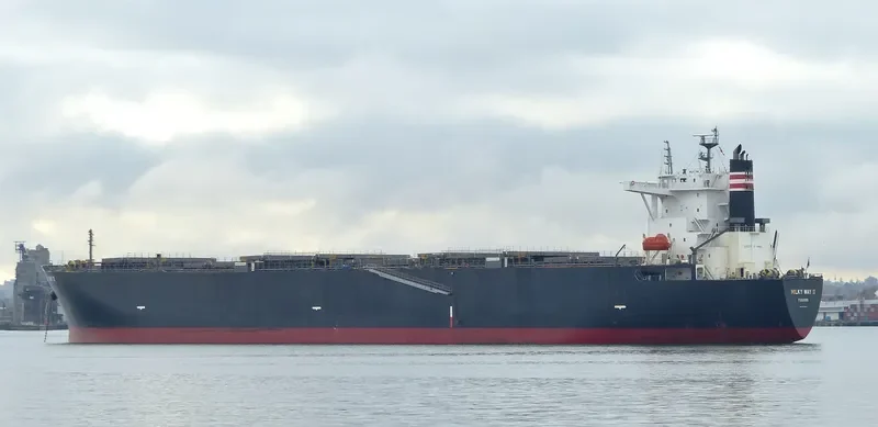MILKY WAY II Bulk Carrier IMO 9405447 photo 10
