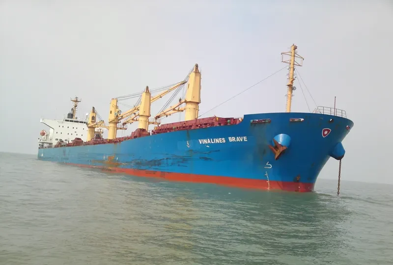 VINALINES BRAVE Bulk Carrier IMO 9405459 photo 3