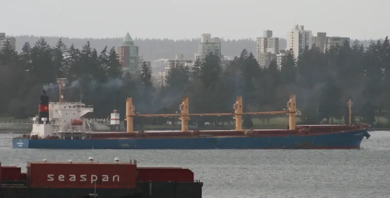 VINALINES BRAVE Bulk Carrier IMO 9405459 photo 4