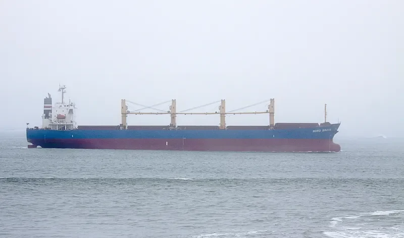 VINALINES BRAVE Bulk Carrier IMO 9405459 photo 8