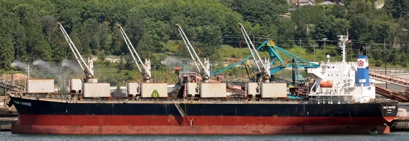 LUMOSO HARMONI Bulk Carrier IMO 9405461