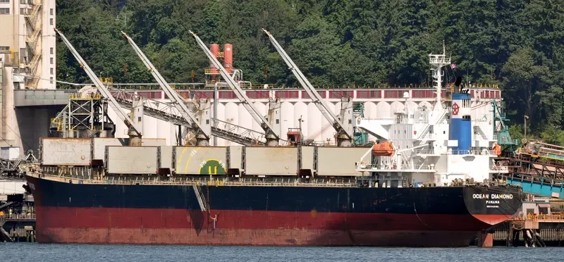LUMOSO HARMONI Bulk Carrier IMO 9405461 photo 2