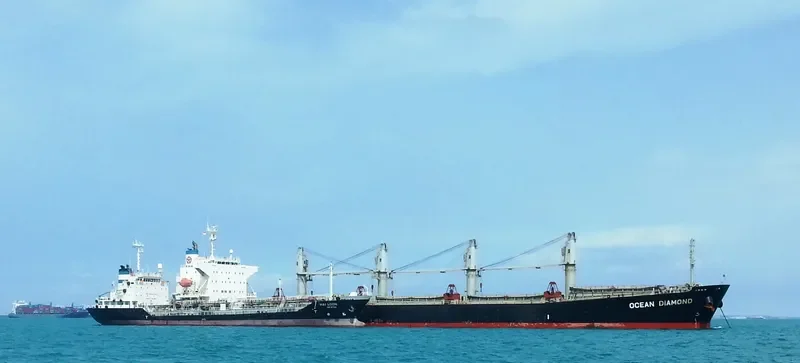 LUMOSO HARMONI Bulk Carrier IMO 9405461 photo 3
