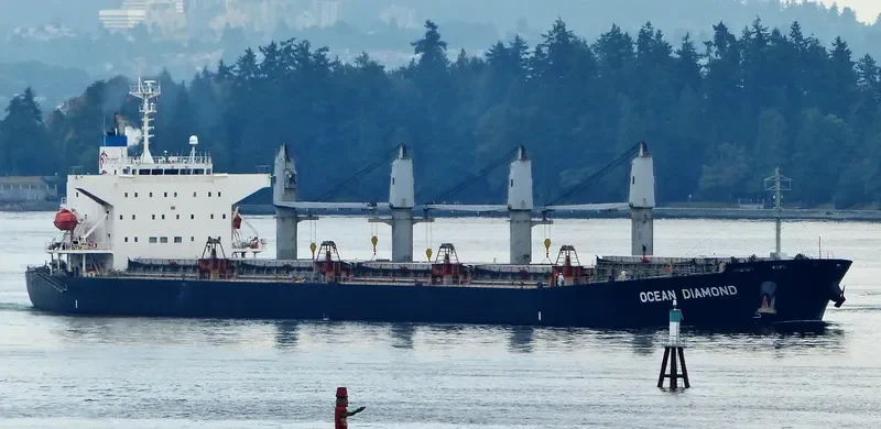 LUMOSO HARMONI Bulk Carrier IMO 9405461 photo 4