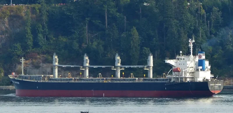 LUMOSO HARMONI Bulk Carrier IMO 9405461 photo 7
