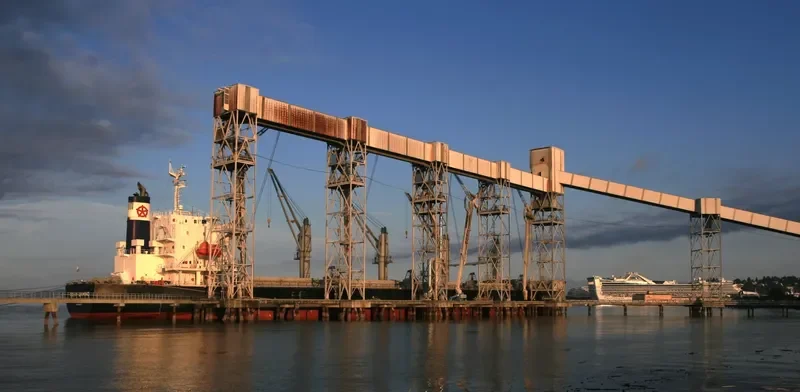 LUMOSO HARMONI Bulk Carrier IMO 9405461 photo 10