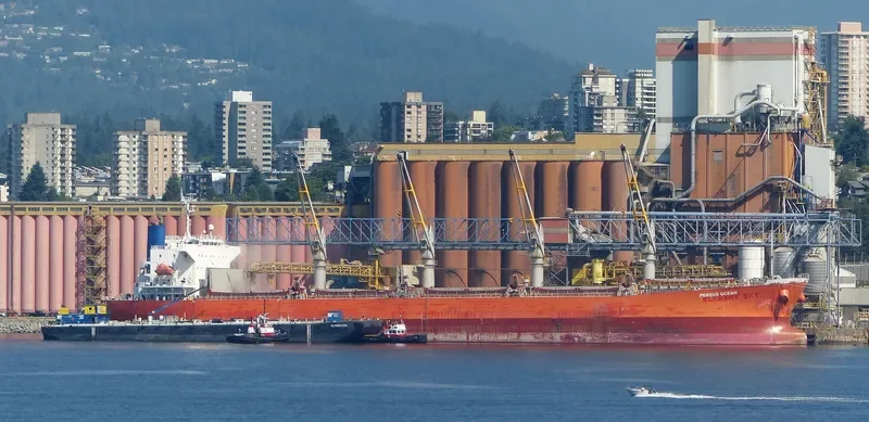 LUMOSO HAWARI Bulk Carrier IMO 9405473 photo 5