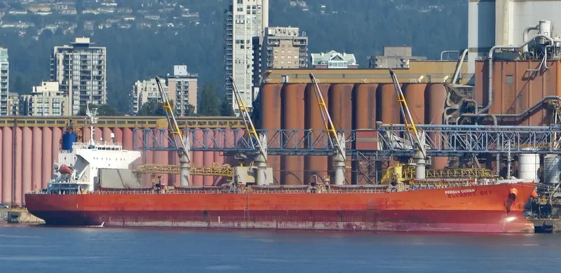 LUMOSO HAWARI Bulk Carrier IMO 9405473 photo 6