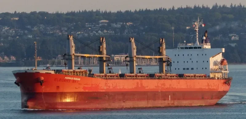 LUMOSO HAWARI Bulk Carrier IMO 9405473 photo 7