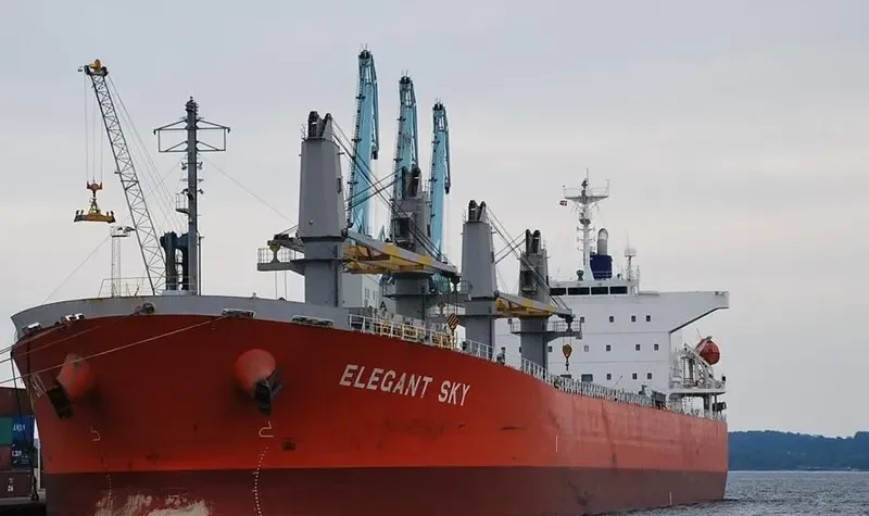 LUMOSO HAWARI Bulk Carrier IMO 9405473 photo 9