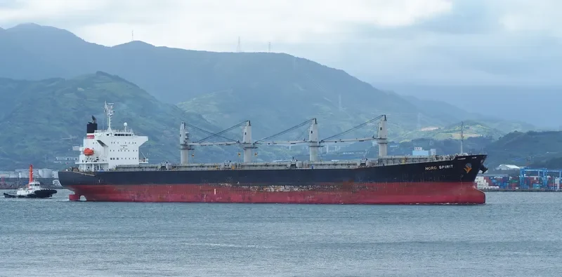 POSEIDON S Bulk Carrier IMO 9405485 photo 5