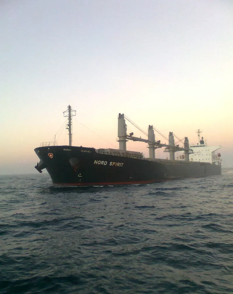 POSEIDON S Bulk Carrier IMO 9405485 photo 9