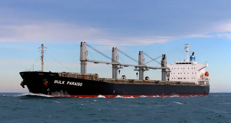 SEA WISDOM Bulk Carrier IMO 9405497 photo 3