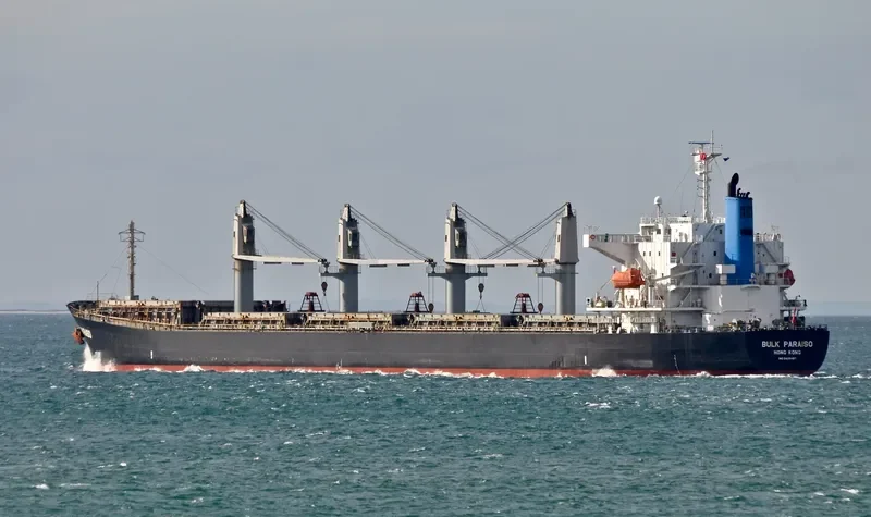 SEA WISDOM Bulk Carrier IMO 9405497 photo 4