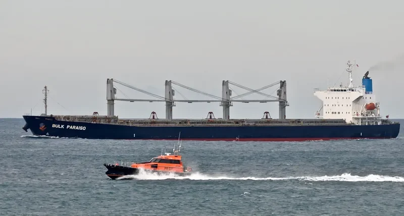 SEA WISDOM Bulk Carrier IMO 9405497 photo 5