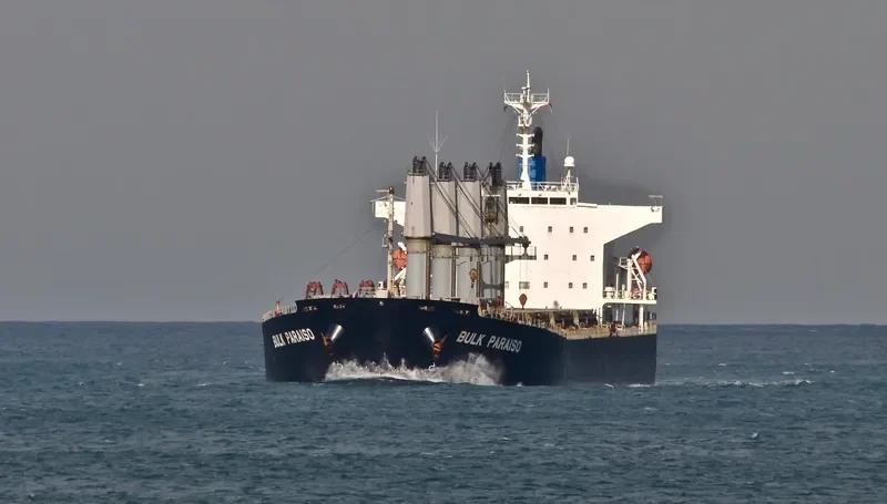 SEA WISDOM Bulk Carrier IMO 9405497 photo 6