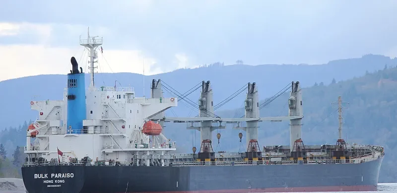 SEA WISDOM Bulk Carrier IMO 9405497 photo 7